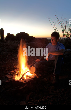 Desert Campfire Tucson AZ Stock Photo