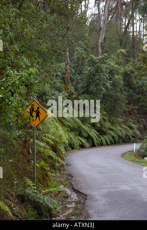 A road winding through forest. Stock Photo