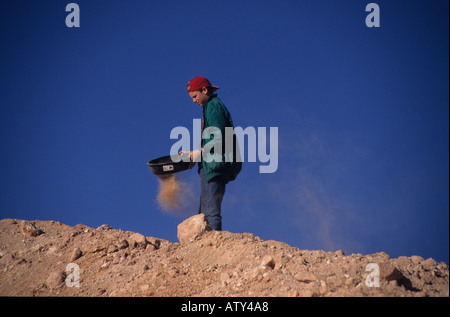 South Australia opal noodler sorting through mullock heap Coober Pedy Stock Photo