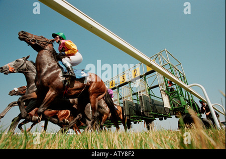 By a nose Racing at Brighton racecourse Stock Photo
