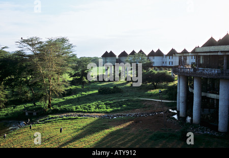 AFRICA KENYA TAITA HILLS Salt Lick Safari Lodge Hilton Resort Hotel early morning at the watering hole Stock Photo