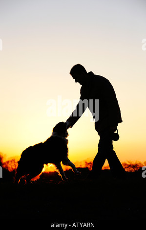 Border Collie and owner at sunset. Stock Photo