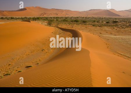 Ancient red sand dunes in the Namib Naukluft National Park, Namibia Stock Photo