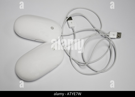 mighty mouses... or rats. :-) Stock Photo