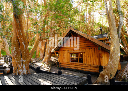 Old Cabin in the woods, Los Arrayanes National Park, Peninsula de Quetrihue, Neuquen, Argentina, South America Stock Photo