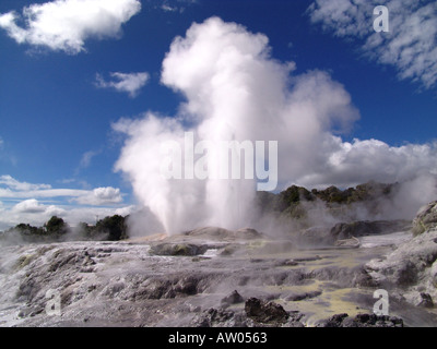 Prince of Wales Feathers Geyser erupting at Whakarewarewa Rotorua New Zealand Stock Photo