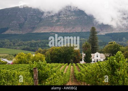 Buitenverwachting Wine Farm situated in Constantia Valley in Cape Town ...