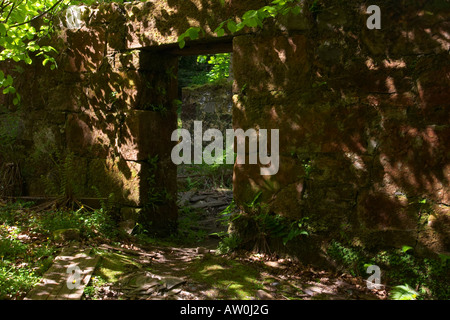 colour image of the doorway of an old abandoned building in Glenashdale Forest, near Whiting Bay, Isle of Arran, Scotland Stock Photo