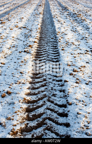 Tractor tyre tracks on a frosty field in winter.  Oxfordshire, England Stock Photo