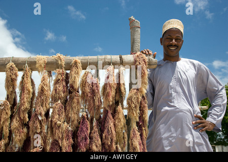 Seaweed hanging out to dry Chwaka village Zanzibar Tanzania Stock Photo