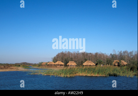 Florida Everglades Seminole Indian chickees in row traditional thatch home tourist village billie swamp safari Stock Photo