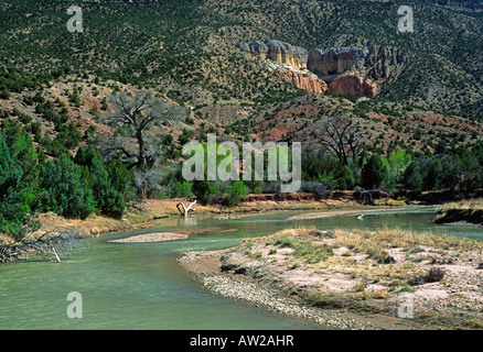 Bend in the Chama River Stock Photo