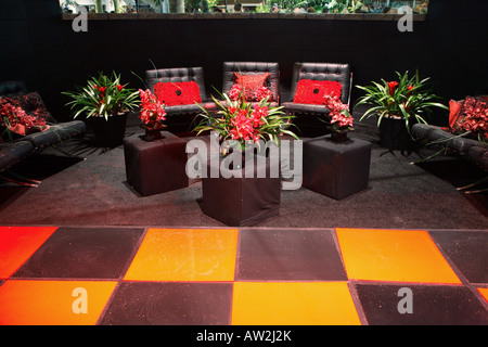 Rhythm Room - brown leather chairs on matching brown carpet fronted by three brown cubes planter behind it with red orchids Stock Photo