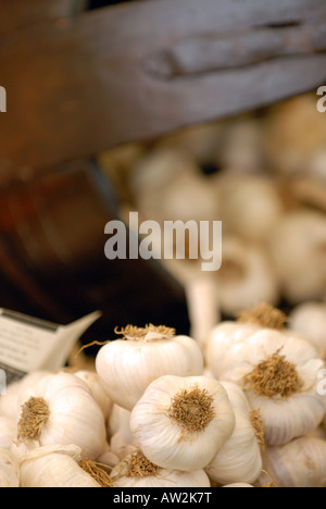 bunches bulbs and cloves of fresh garlic on display at the garlic festival on the isle of wight at newchurch near sandown Stock Photo