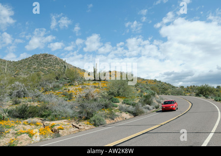 Red car cruises along an Arizona road during a spring poppy bloom in 2008 Stock Photo