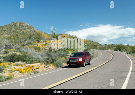 Red SUV cruises along an Arizona road during a spring poppy bloom in 2008 Stock Photo