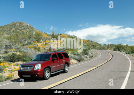 Red SUV cruises along an Arizona road during a spring poppy bloom in 2008 Stock Photo