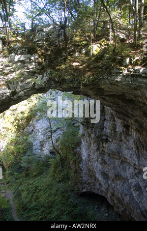 Mali Naravni most (the small natural bridge) in Rakov Skocjan, Slovenia Stock Photo