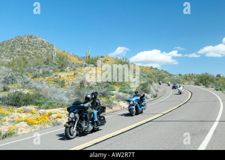 Motorcycle riders crusing along a desert road during a spring bloom of poppies in central Arizona in 2008 Stock Photo