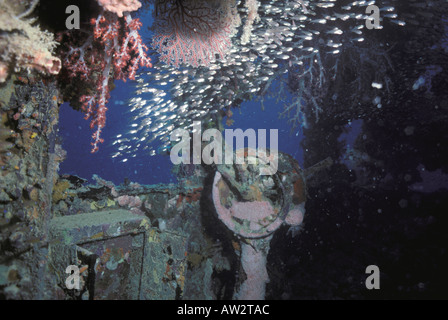 Sunken Ship Micronesia World War II Japanese wreck Nippo Maru bridge with telegraph Chuuk Truk Lagoon  with bright pink sponges corals Stock Photo