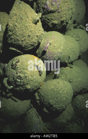 Sunken Ship World War II Japanese wreck Nippo Maru mines in cargo hold at Truk Chuuk Lagoon Micronesia Stock Photo