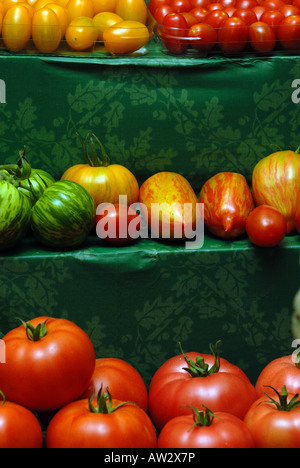 a stall stand at a farmers french country market food fayre dispaying a viriety assortment choice different shaped tomatoes Stock Photo