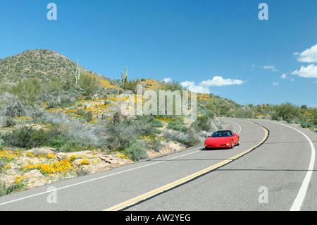 Red Corvette cruises along an Arizona desert road during a spring poppy bloom in 2008