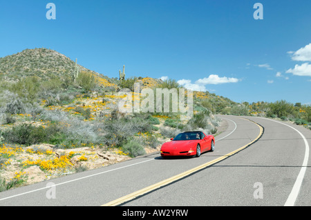 Red Corvette cruises along an Arizona desert road during a spring poppy bloom in 2008 Stock Photo