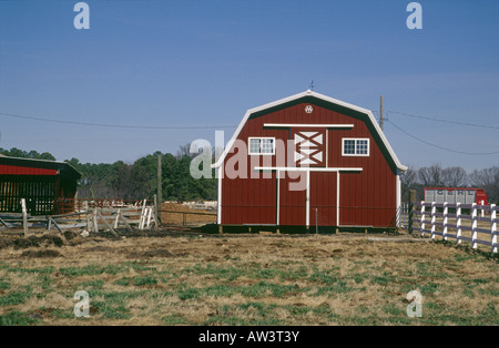 Traditional style wooden built barn  Red paint  White detail  Farm Stock Photo
