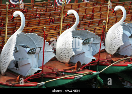 The Swanboats in Boston's Public Garden are one of the city's most loved icons Stock Photo