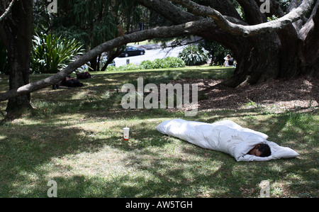 Homeless person sleeping in a park under a duvet Stock Photo