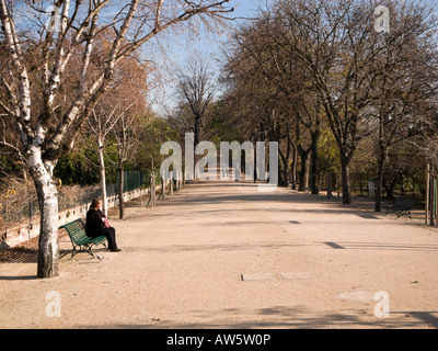 Woman rests on a park bench in a tree lined avenue of the Jardin des Plantes city park Paris France Europe Stock Photo