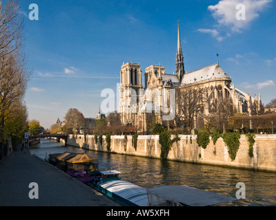 Notre Dame Cathedral from Quai de la Tournelle, Ile de la Cite, Paris, France, Europe Stock Photo