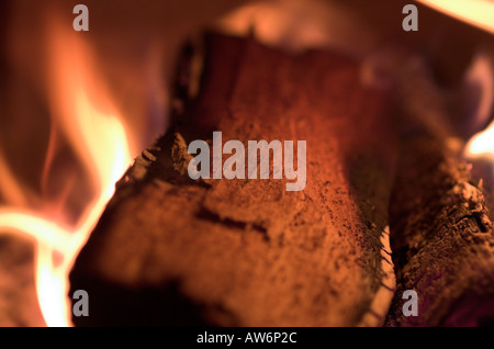 Mesmeric flames leap from a log fire in a wood burning stove Stock Photo