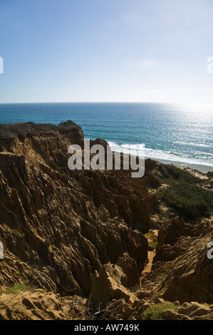 Torrey Pines State Park, San Diego, California, USA Stock Photo - Alamy