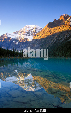 Dawn light on Mount Edith Cavell reflected in Cavell Lake Jasper National Park Alberta Canada Stock Photo