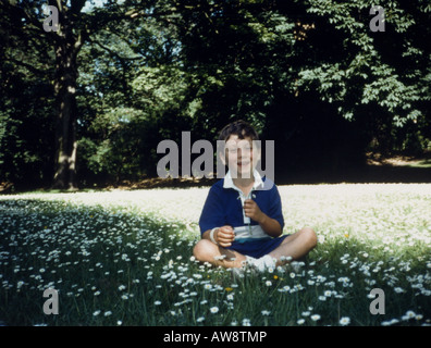 Summer daisies in a park in Edinburgh, Scotland Stock Photo