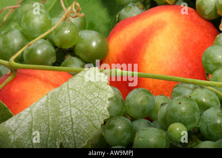 Whole peaches and white grapes fruit food from above photo picture pictures composition presentation nice creative aesthetic nobody horizontal hi-res Stock Photo