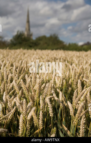 Village of Thaxted in Essex, South of England, July 2007 Stock Photo