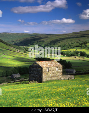 Stone Barns and Wildflower Meadows in Upper Swaledale, Swaledale, Yorkshire Dales National Park, England, UK Stock Photo