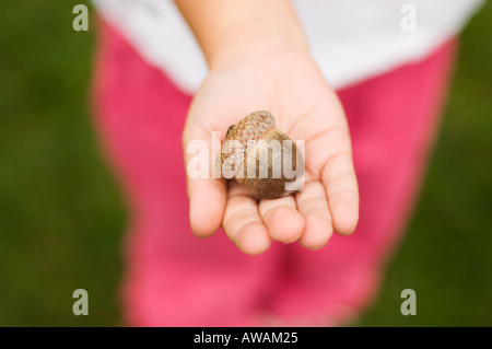 Closeup of an acorn in a childs hand Stock Photo