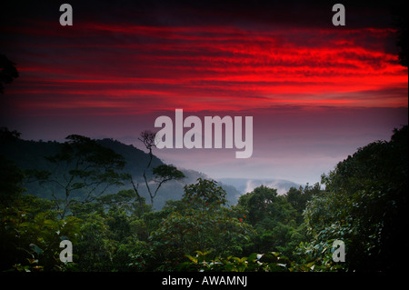 Panama landscape with colorful skies at dawn seen from the rainforest at Cerro Pirre in Darien national park, Darien province, Republic of Panama. Stock Photo