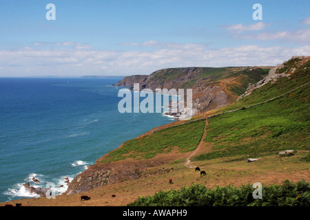 A view down the beautiful south coast in the area to the west of the Salcombe estuary in Devon. Stock Photo