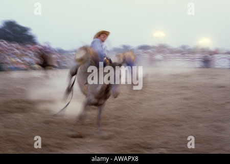 A Rodeo rider in competition on a bucking horse in a highly charged action scene. Stock Photo