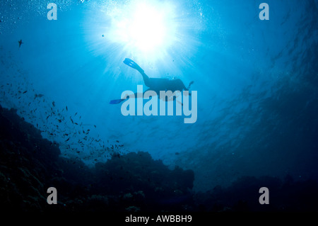 Silhouette of diver with camera against the water's surface swimming along reef. Stock Photo