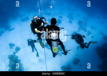 Two male scuba divers doing decompression stop holding on to shot line being photographed. Stock Photo