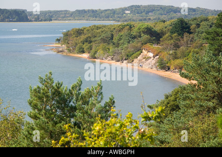 View north over Poole Harbour from Brownsea Island Dorset UK Stock Photo