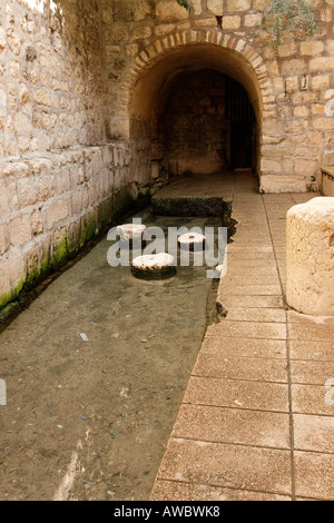 Jerusalem Israel The City of David the Pool of Siloam dates from 5th century Byzantine period Stock Photo