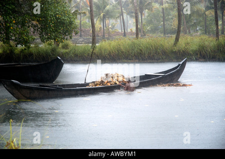 COCONUT SHELLS DUMPED IN SALINE WATER TO EXTRACT FIBRE VARKALA Stock Photo