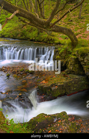 Horseshoe falls in the Brecon Beacons National Park, Wales Stock Photo